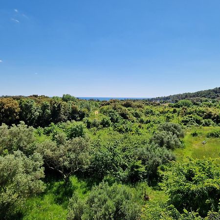 Villa Mareonda Rovinj Bagian luar foto
