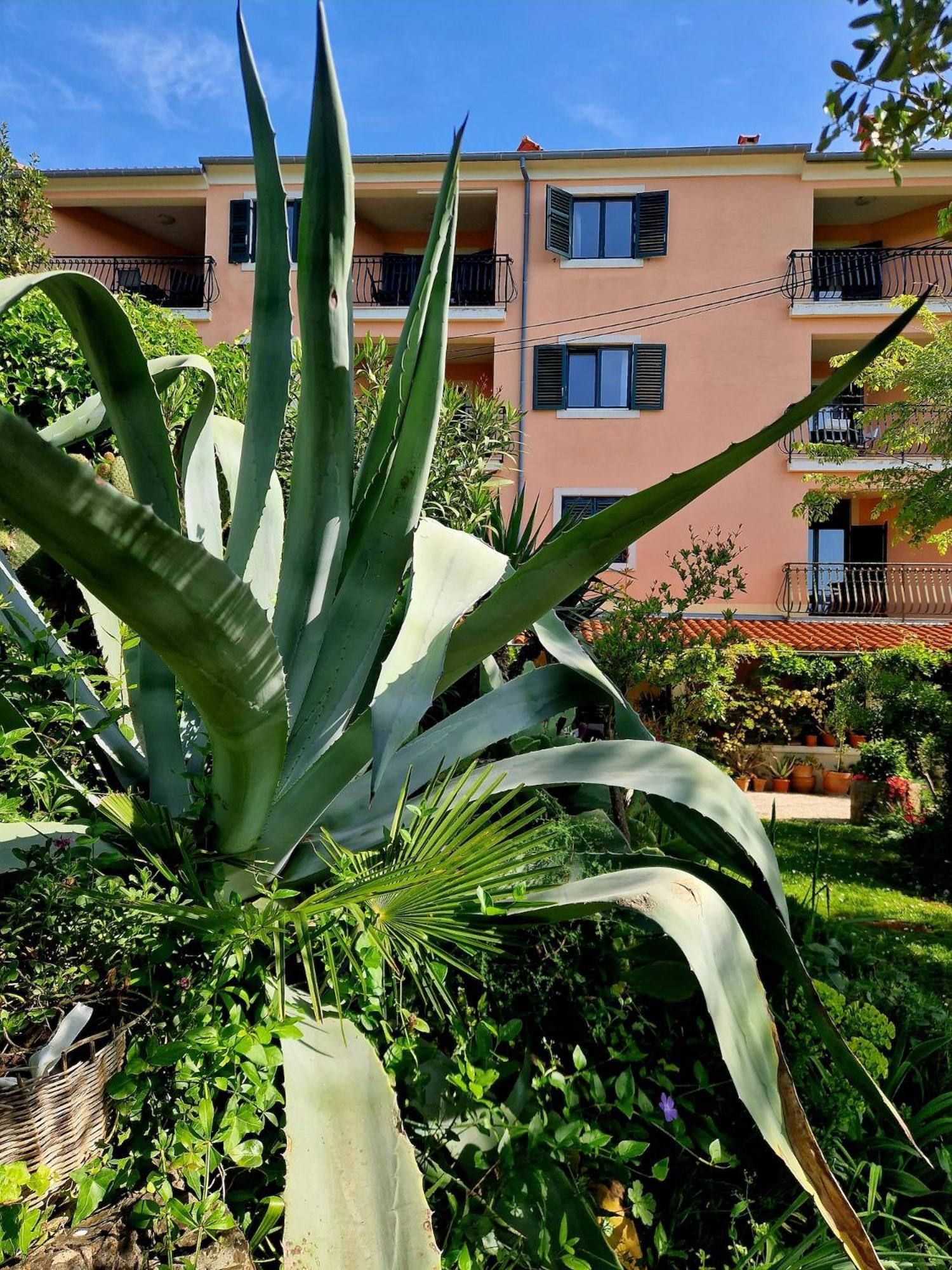 Villa Mareonda Rovinj Bagian luar foto