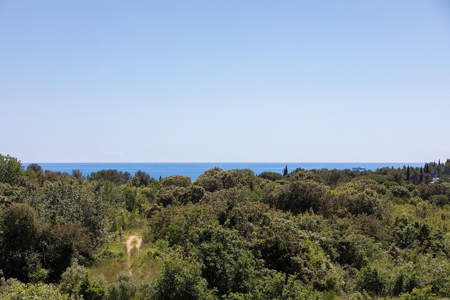 Villa Mareonda Rovinj Bagian luar foto