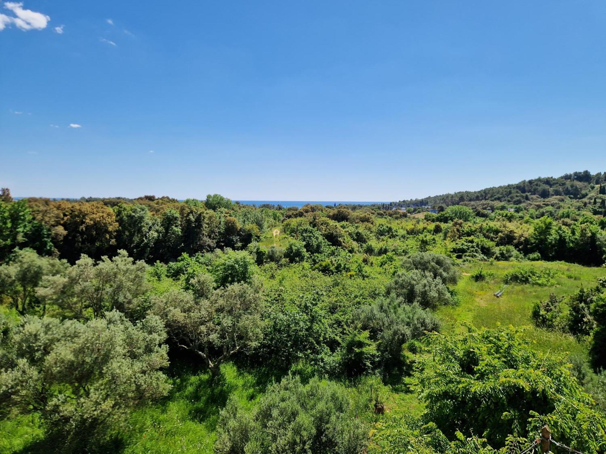 Villa Mareonda Rovinj Bagian luar foto